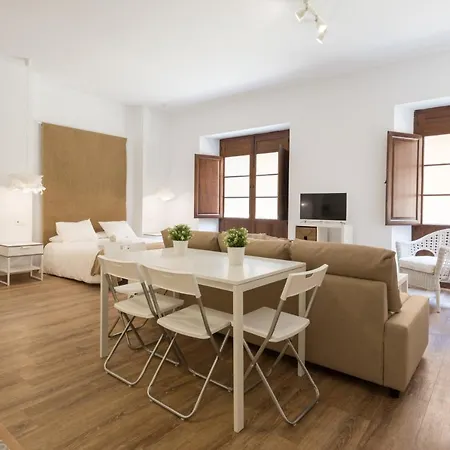 Santiago Premium Loft I Apartment Malaga Exterior photo