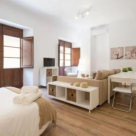Santiago Premium Loft I Apartment Malaga Exterior photo